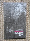 IOANA ANDREESCU: SOARE SEC (volum de debut, EPL 1968) [coperta PETRE VULCANESCU]