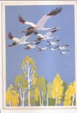 FA79 -Carte Postala- RUSIA - A.M. Laptev bon , Voyage, necirculata 1963