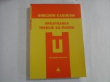 VRAJITOAREA TREBUIE SA MOARA - SHELDON CASHDAN