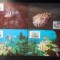 Antigua si Barbuda-Fauna marina -set complet ilustrate maxime