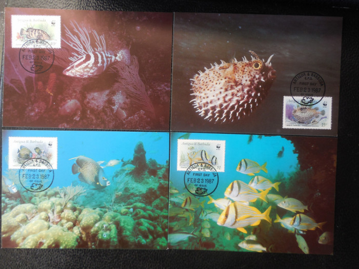 Antigua si Barbuda-Fauna marina -set complet ilustrate maxime