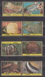 A12 S6 4 - Timbre foarte vechi - Ajman - fauna oceanica, Stampilat