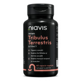 Tribulus Terrestris Extract, 60 capsule, Niavis