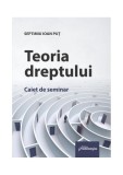 Teoria dreptului. Caiet de seminar - Paperback brosat - Hamangiu