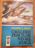 Cavalerii Pisicilor Negre ataca de Richard C. Knott