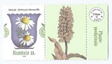 **Romania, LP 2399/2023, Plante medicinale, 11 lei cu vinieta coala posta, MNH