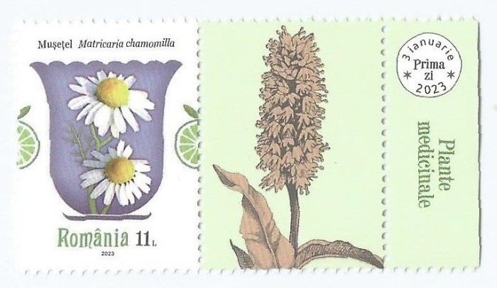 **Romania, LP 2399/2023, Plante medicinale, 11 lei cu vinieta coala posta, MNH