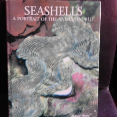 Seashells, a portrait of the animal world - Andrew Cleave (text in limba engleza)