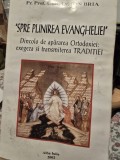 Ion Bria Spre plinirea Evangheliei Editura: Reintregirea A
