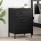 vidaXL Dulap de noapte Stejar negru 40 x 40 x 66 cm Lemn compozit 882127