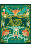 Tăr&acirc;mul fermecat la Snergilor - Hardcover - Edward Wyke-Smith - RAO