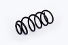 Arc Suspensie Fata 65876 NGH 02.03.008