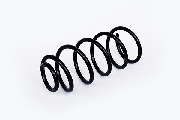 Arc Suspensie Fata 65876 NGH 02.03.008
