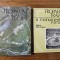 Tropaeum Traiani (2 vol) Editura Academiei