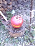 Butelie de Voiaj Poloneza 2 l