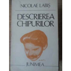 DESCRIEREA CHIPURILOR-NICOLAE LABIS