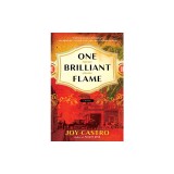 One Brilliant Flame