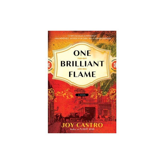 One Brilliant Flame