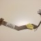 Panglica display (cablu LVDS) HP PAVILION DV6000 432298-001
