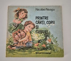 Carte pentru copii Nicolae Neagu Printre carti copii si cuburi
