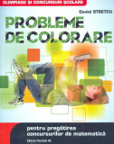 Probleme de colorare pentru pregatirea concursului de matematica | Daniel Stretcu