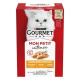Cumpara ieftin Set 6 buc x 50 gr Hrana umeda pentru pisici Gourmet Mon Petit cu pui , rata curcan