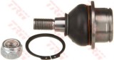 Pivot FORD TRANSIT CONNECT (P65, P70, P80) (2002 - 2016) TRW JBJ730