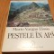 PESTELE IN APA - Mario Vargas Llosa - Editura Universal Dalsi, 1995, 464 p.