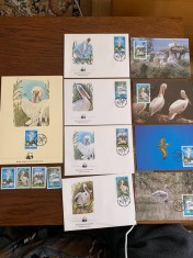 Romania - pasari - pelican - serie 4 timbre MNH, 4 FDC, 4 maxime, fauna wwf