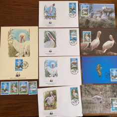Romania - pasari - pelican - serie 4 timbre MNH, 4 FDC, 4 maxime, fauna wwf