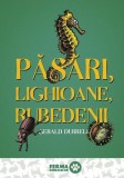 Păsări, lighioane, rubedenii (Vol. 2) - Hardcover - Gerald Durrell - Art