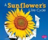 A Sunflower&#039;s Life Cycle