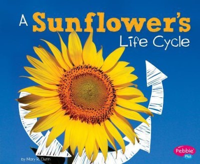 A Sunflower&amp;#039;s Life Cycle foto