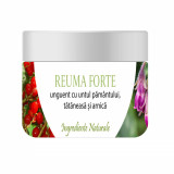 Reuma Forte Unguent cu Untul Pamantului Tataneasa si Arnica 100% Natural 150 mililitri Bios Mineral Plant