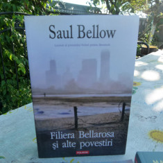 Filiera Bellarosa - Saul Below
