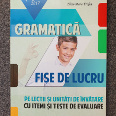 GRAMATICA 5. FISE DE LUCRU CU ITEMI SI TESTE EVALUARE - Trofin