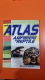 Mic Atlas amfibieni si reptile - Dumitru Murariu, Aurora Mihail