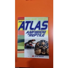 Mic Atlas amfibieni si reptile - Dumitru Murariu, Aurora Mihail
