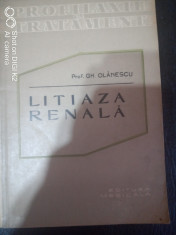 Litiaza renala-Prof.Gh.Olanescu foto