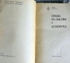RDD 99 Orasul cu salcami. Accidentul