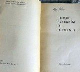 RDD 99 Orasul cu salcami. Accidentul