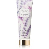 Victoria's Secret Lavender &amp; Vanilla lapte de corp pentru femei 236 ml