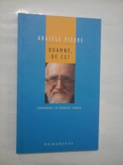 DOAMNE DE CE? * Scurte meditatii asupra credintei crestine si a sensului vietii * Convorbiri cu FREDERIC LENOIR