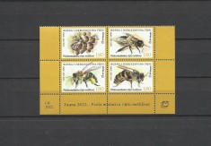 BOSNIA POSTA CROATA 2024 FAUNA INSECTE ALBINE foto