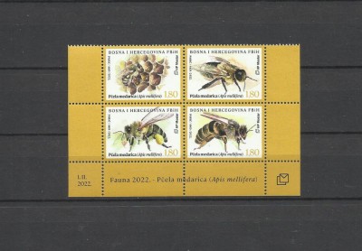 BOSNIA POSTA CROATA 2024 FAUNA INSECTE ALBINE foto