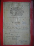 HOPCT DOCUMENT NR 561 CERTIFICAT SCOALA SUBOFITERI DE JANDARMI NR 2 CERNAUTI -BUCOVINA -REGATUL ROMANIEI 1942