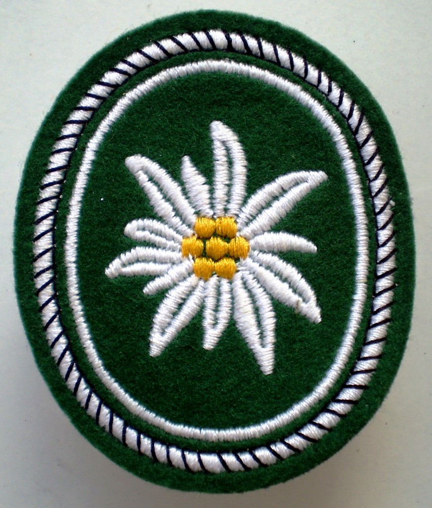 M.121 GERMANIA EMBLEMA ECUSON PATCH MILITAR BUNDESWEHR 1 Gebirgsdivision | Okazii.ro