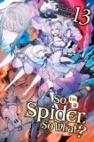 So I&#039;m a Spider, So What?, Vol. 13 (Light Novel)