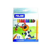 Cumpara ieftin Set 12 Creioane Colorate Cerate MILAN, Corp din Plastic Hexagonal, 12 Culori Diferite, Set Creioane Cerate, Creioane Colorate Cerate, Creioane Cerate,