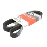 Curea Transmisie Caneluri 7PK1750 Nissan NP300 Navara D40 (2008-&gt;)